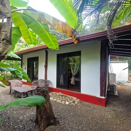 Villas Jungle 5 Samara Exterior photo